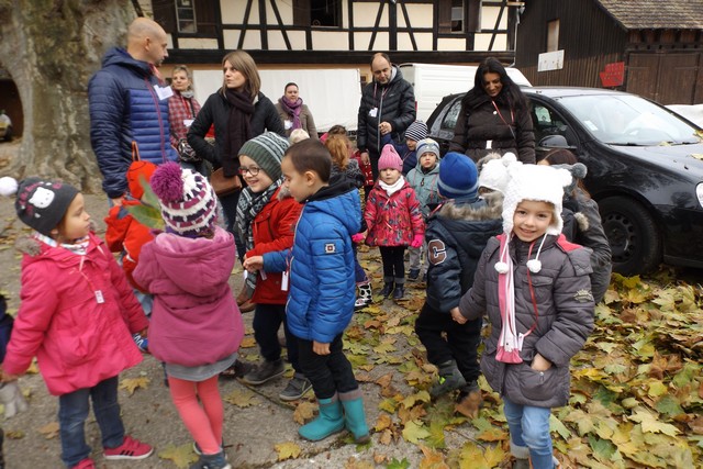 Photo ferme 014
