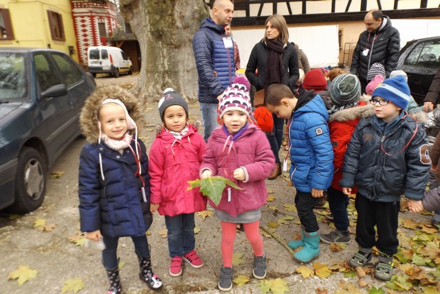 Photo ferme 022
