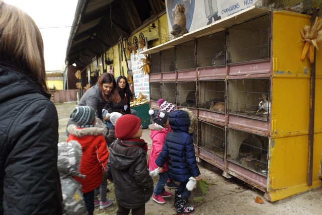 Photo ferme 026