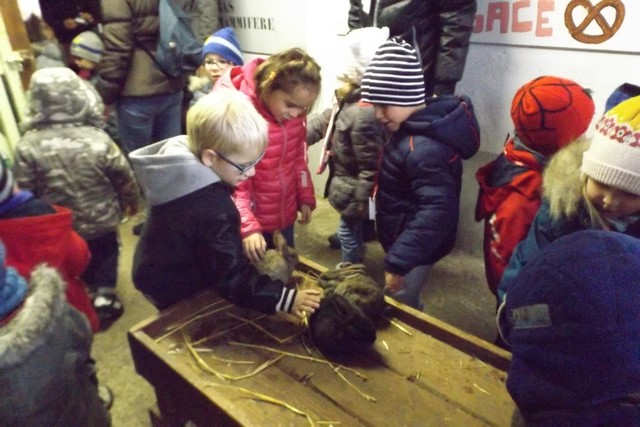 Photo ferme 031