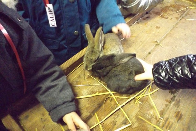 Photo ferme 038