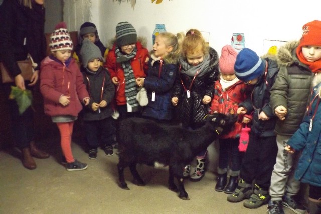 Photo ferme 054