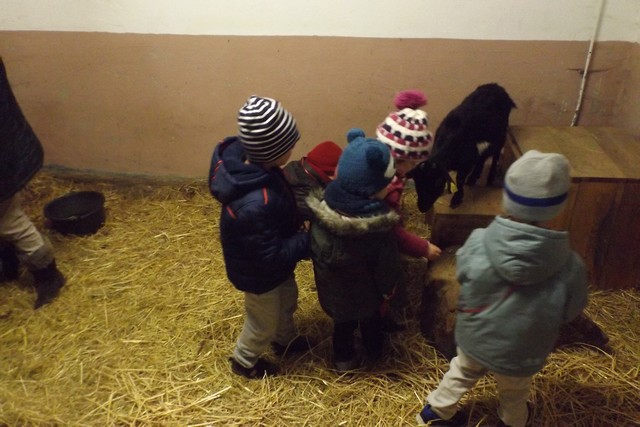 Photo ferme 057