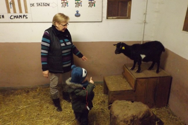 Photo ferme 059