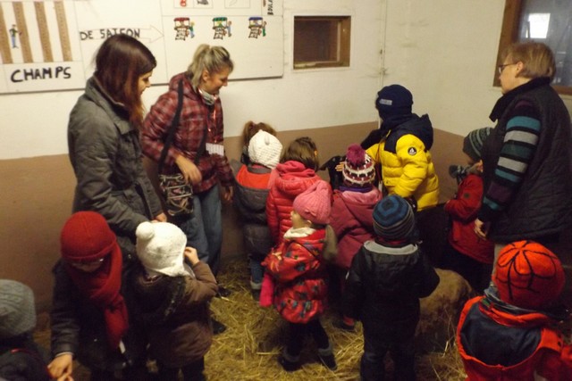 Photo ferme 062
