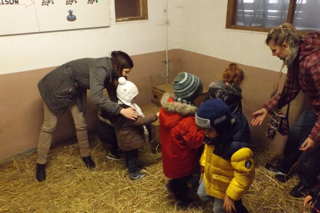Photo ferme 066