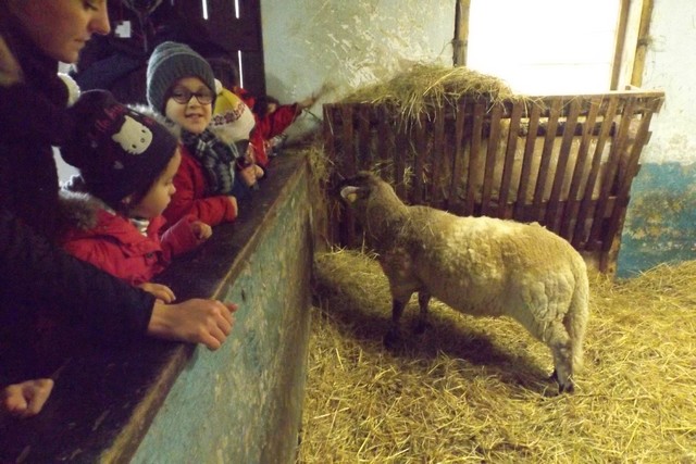 Photo ferme 078