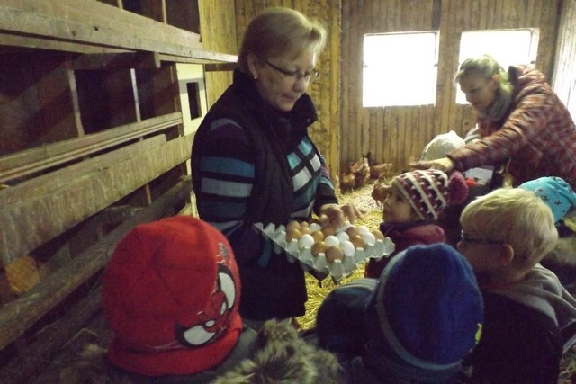 Photo ferme 092