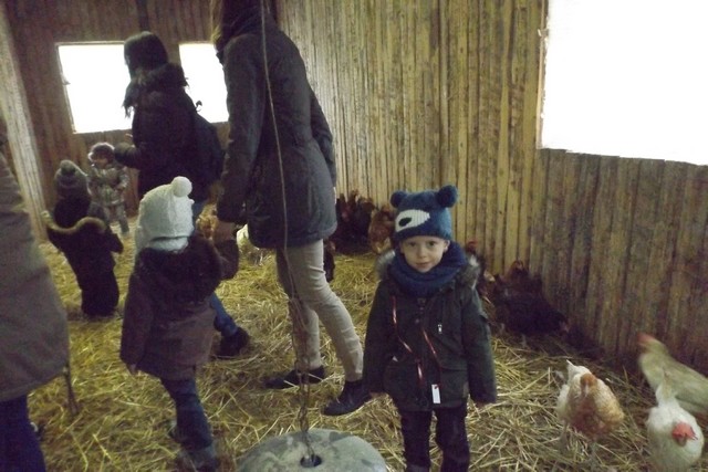 Photo ferme 094