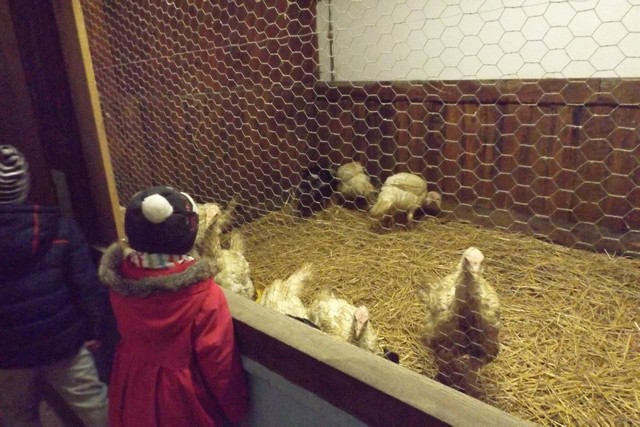 Photo ferme 102