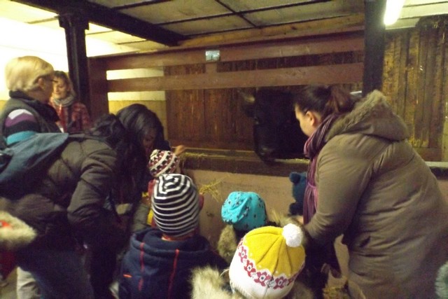 Photo ferme 119