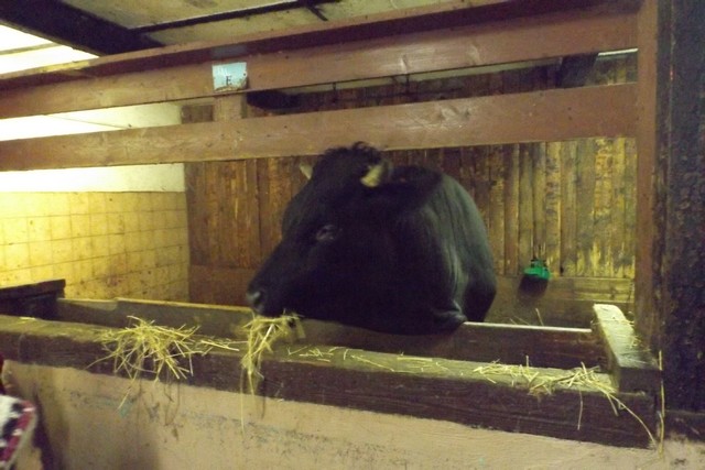 Photo ferme 121