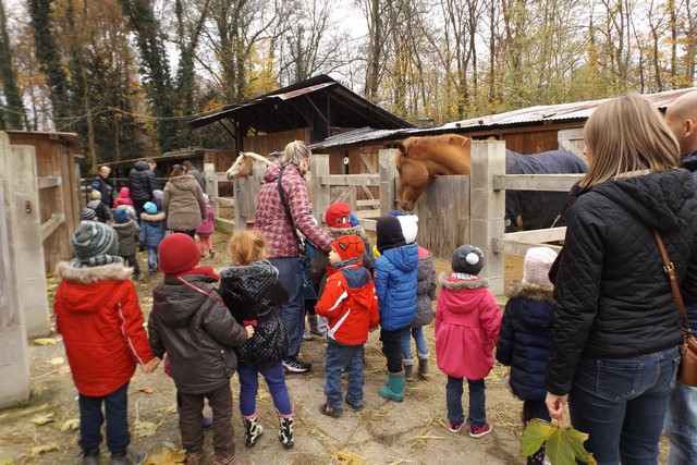 Photo ferme 128