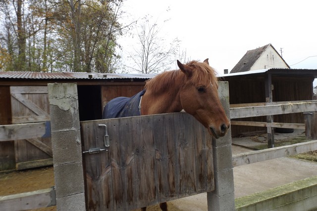 Photo ferme 129