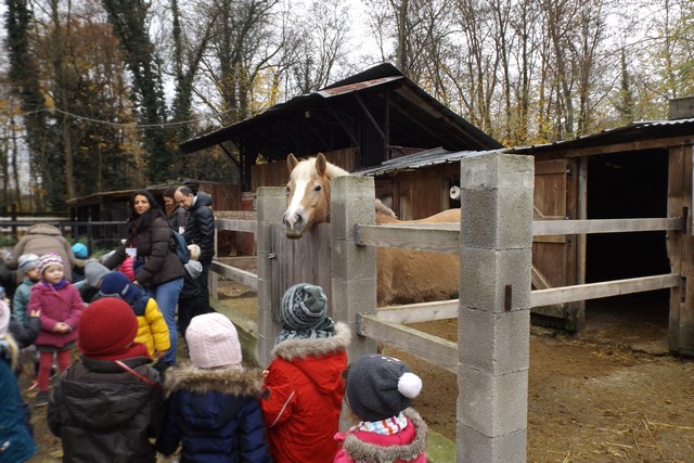 Photo ferme 130