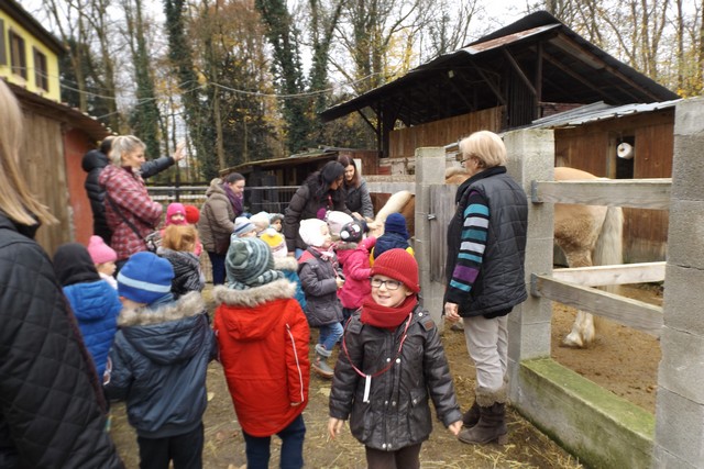 Photo ferme 131
