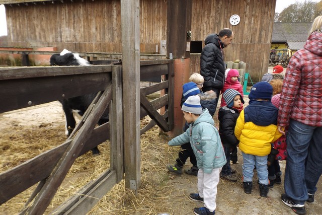Photo ferme 135