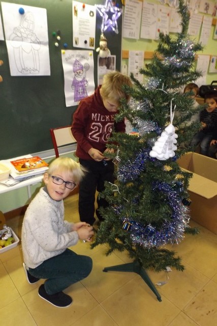 Photo déco sapin 008