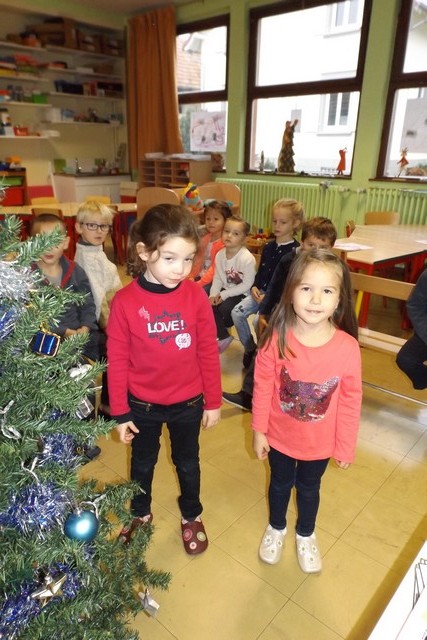 Photo déco sapin 010