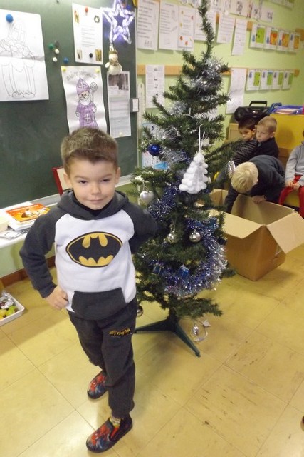 Photo déco sapin 014