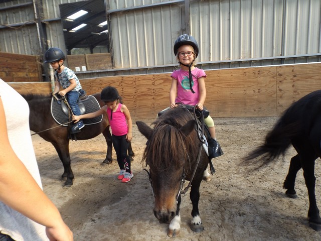 poney sortie 105