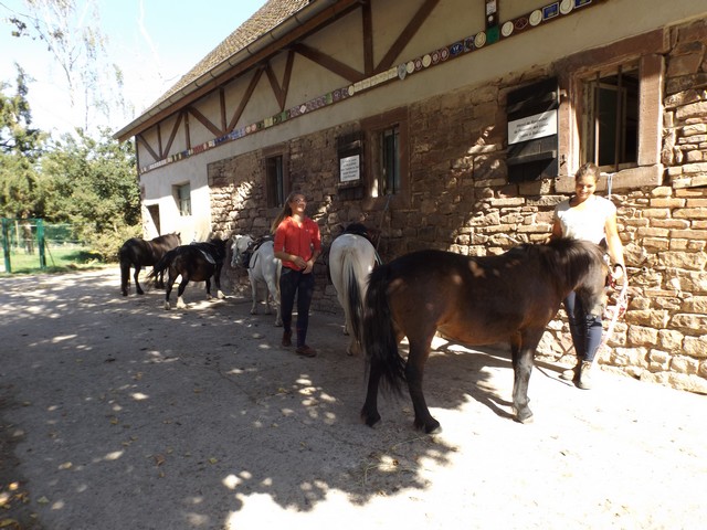 poney sortie 111