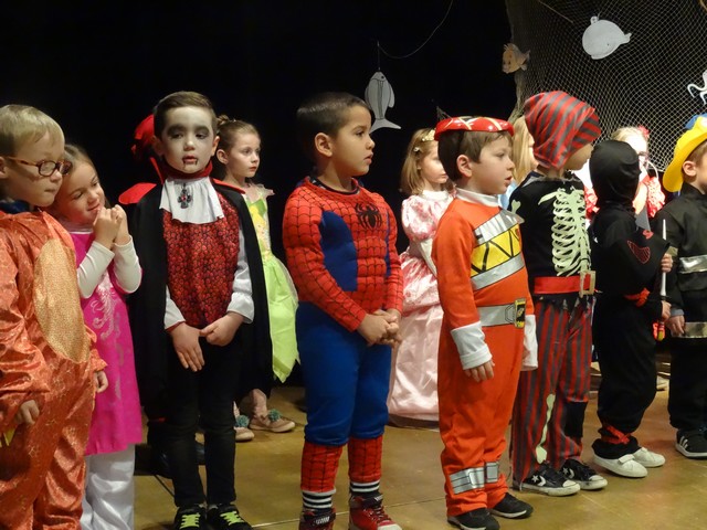 photo carnaval soleil 026