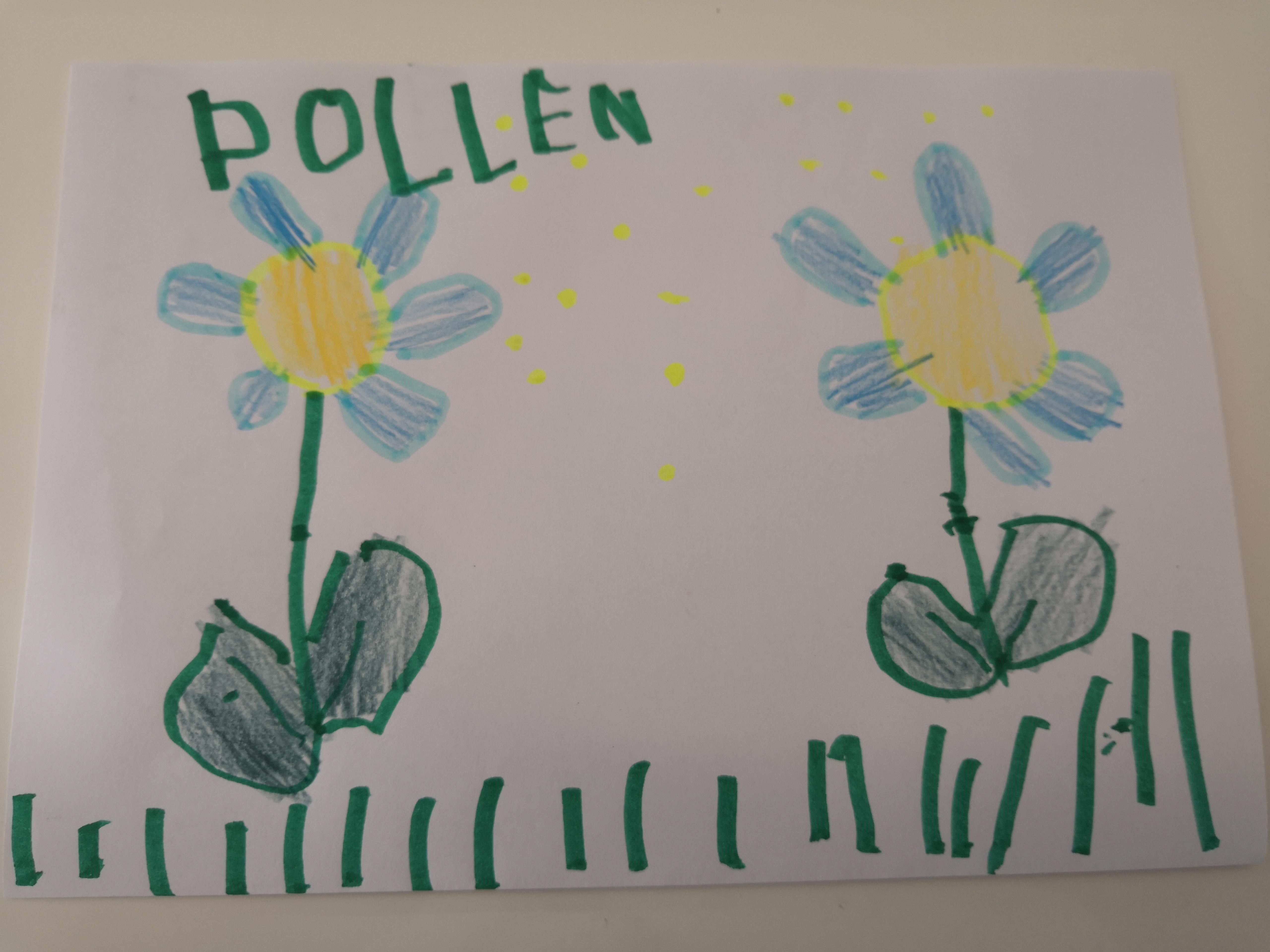 pollen