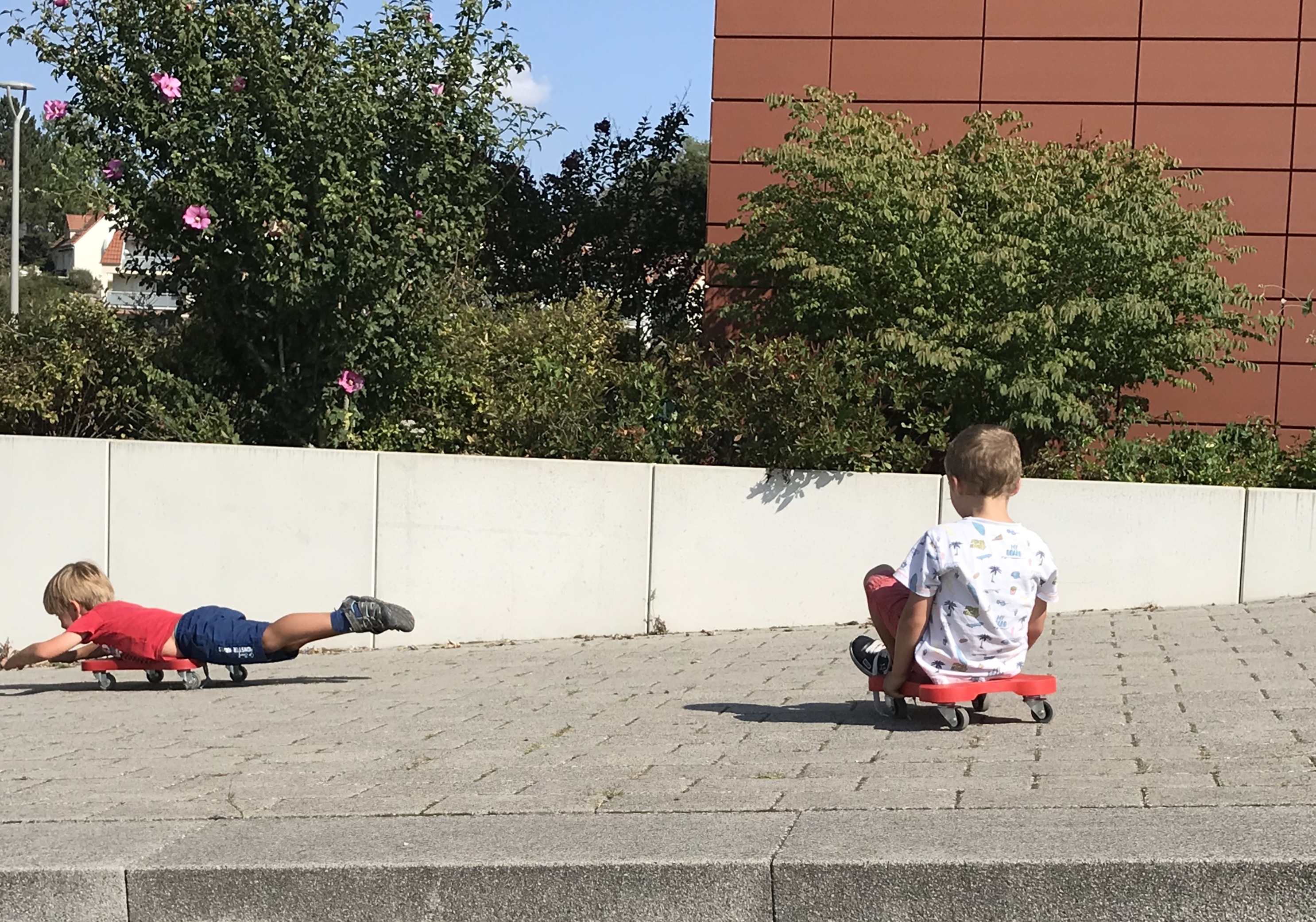 fullsizeoutput_6460